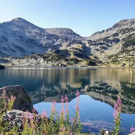Mountain View With Balcony & Access Nearby - Serendipity Банско