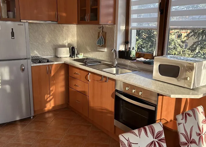 Mountain View With Balcony & Access Nearby - Serendipity Banszko