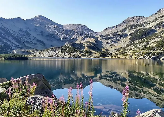 Mountain View With Balcony & Access Nearby - Serendipity Banszko